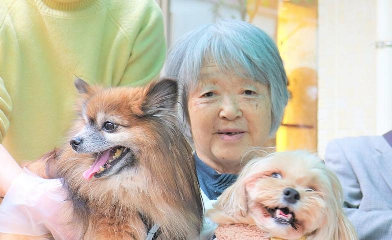 犬とのふれあい