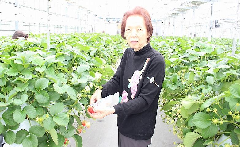 どのイチゴにするか迷うな