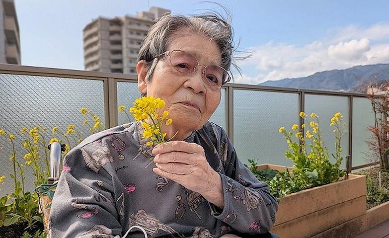 春の花が咲きました