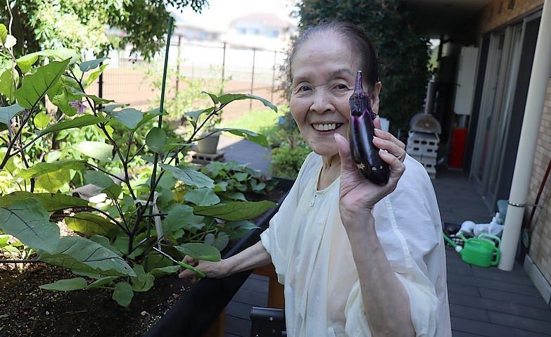 園芸クラブ～ナスの収穫～