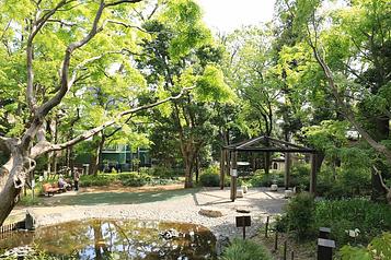 新宿区立下落合野鳥の森公園