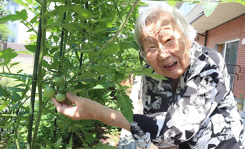 収穫までもう少し！			