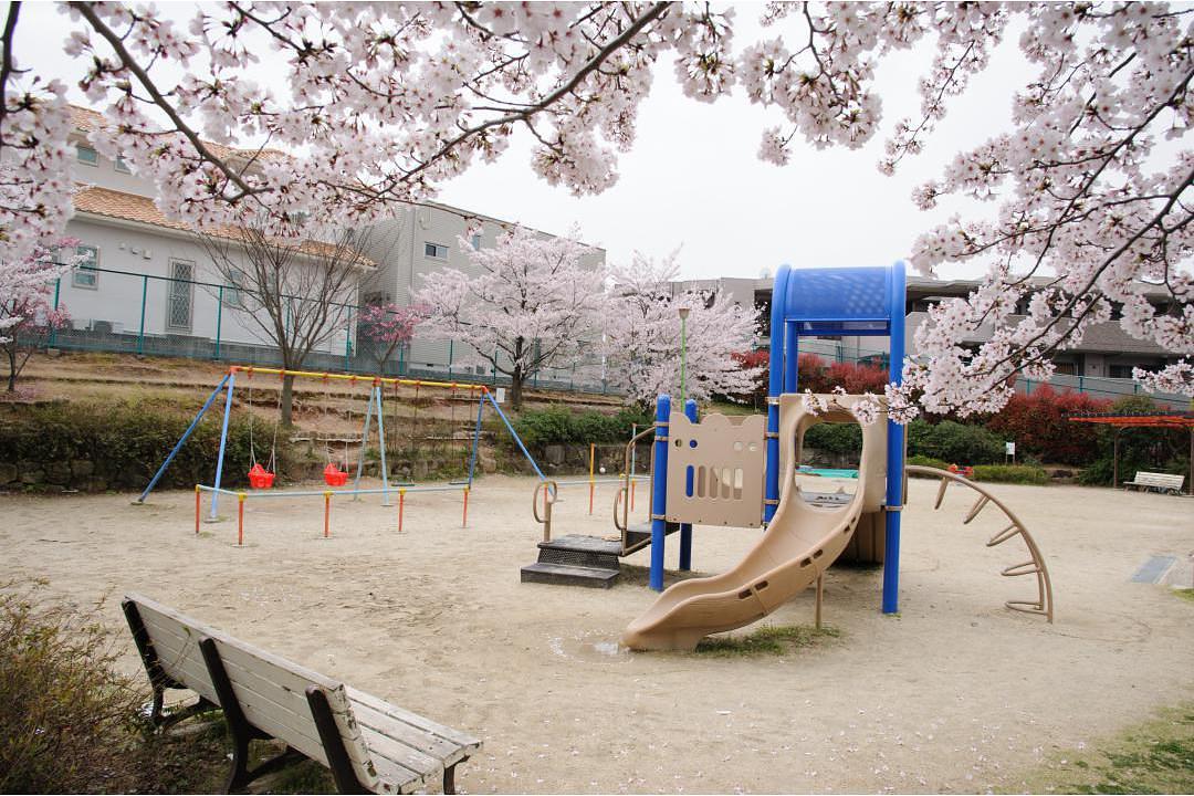 初日公園