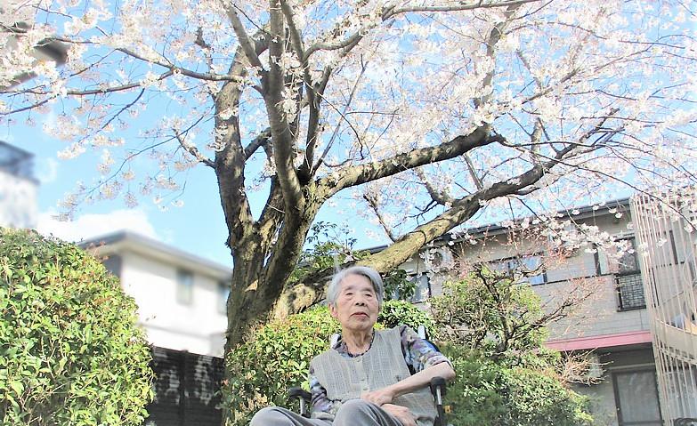 お花見