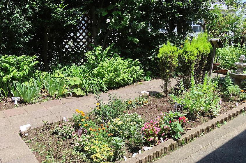 お庭の花壇
