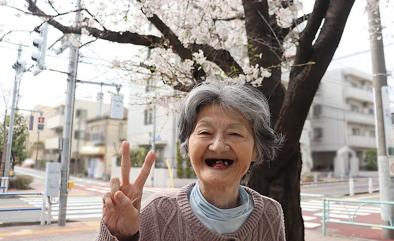 桜を見に行こう！