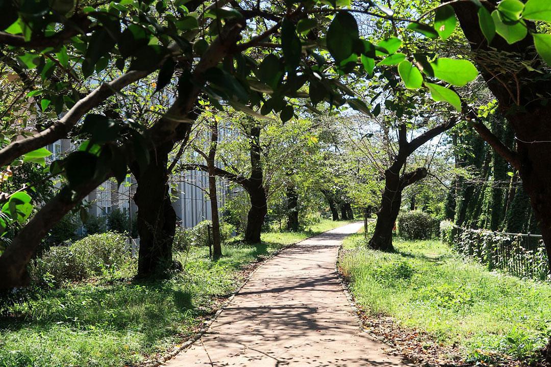 千代田区立外濠公園