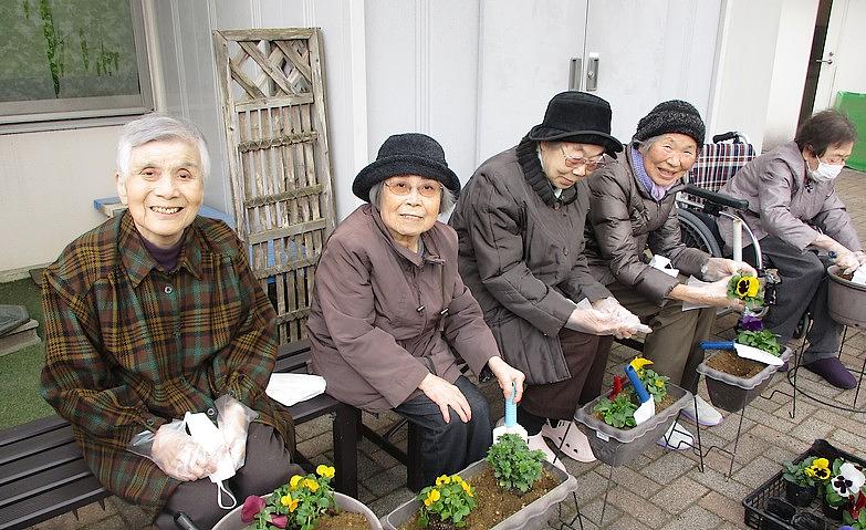 中庭の花植え