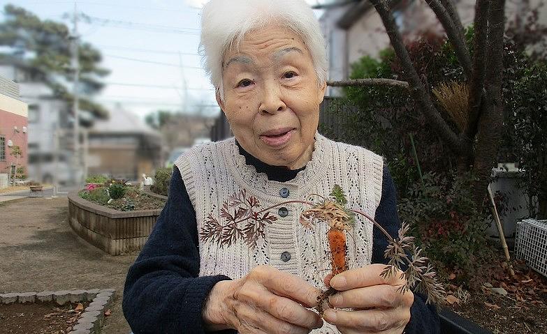 お庭のキャロット