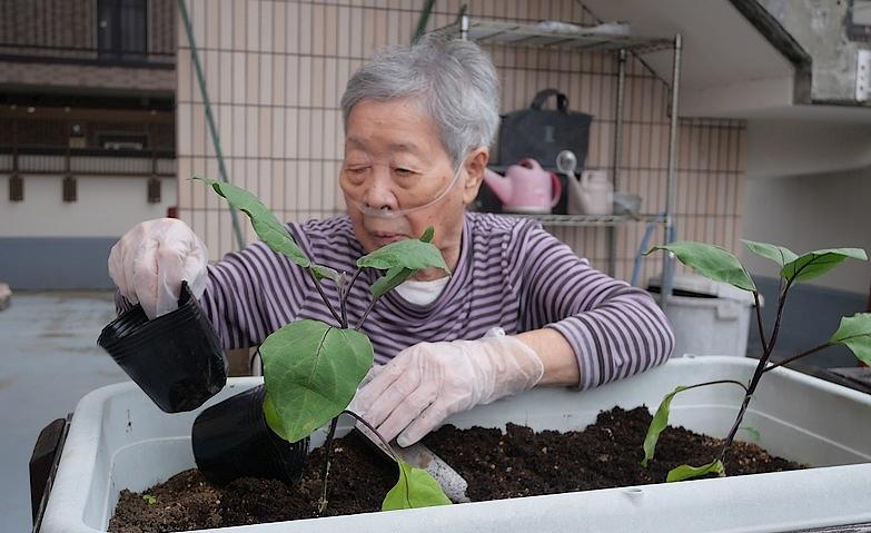 今年も始まる夏野菜づくり