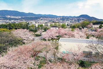 越水浄水場