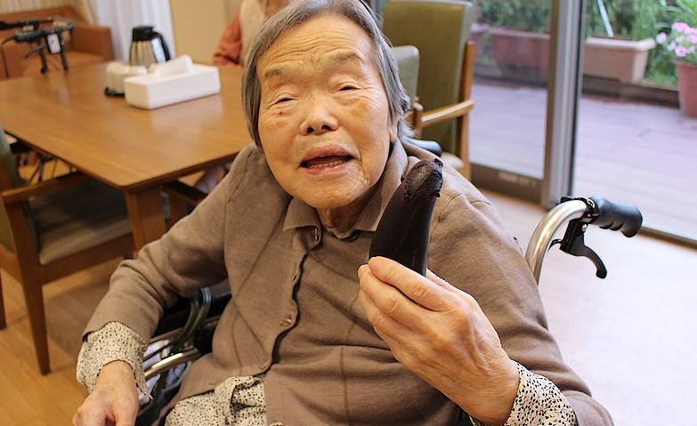 庭で育てたナスを収穫