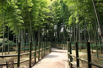 すずめのお宿緑地公園