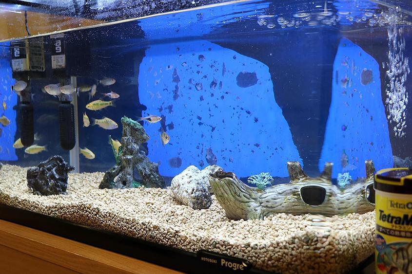 リビングルーム兼食堂兼機能訓練室