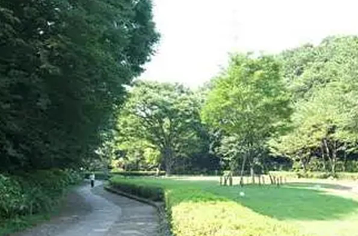 東高根森林公園