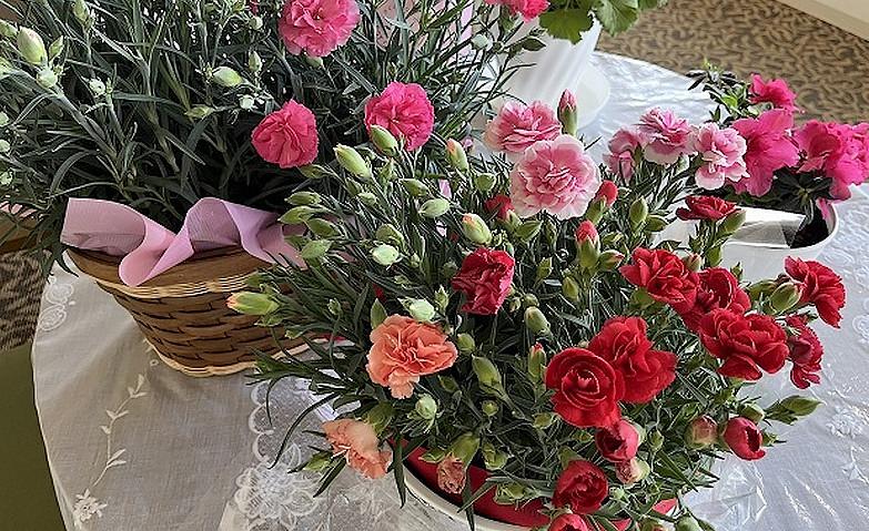 今年もたくさんのお花が届きました！