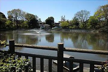碑文谷公園