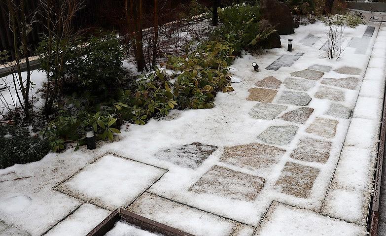 雪が積もりました！