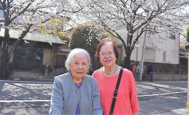 桜満開
