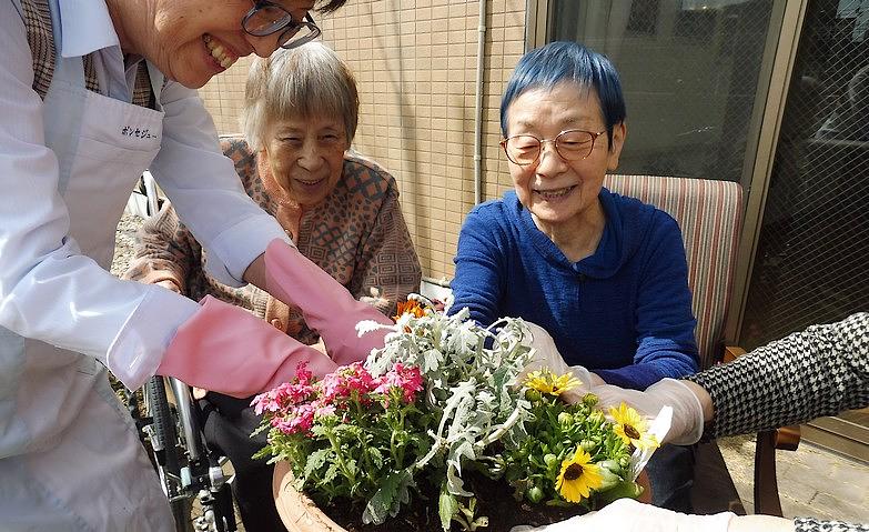 お庭に彩を！～お花を植えました～			