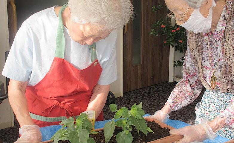 失敗は成功のもと！～園芸クラブ～		