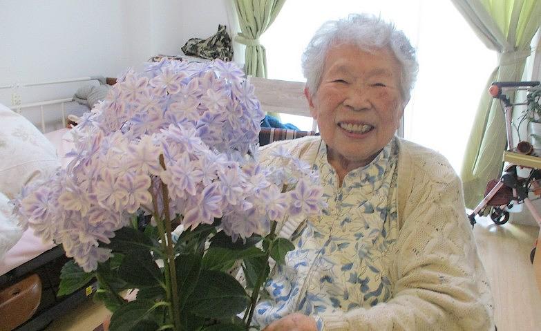 初夏を彩るアジサイの贈り物