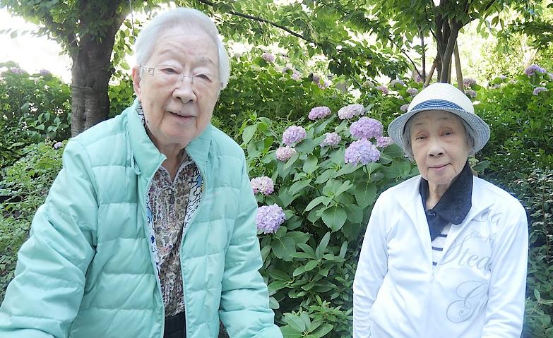 アジサイと楽しむお庭の散策