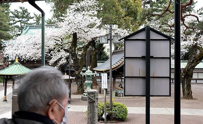 お花見散歩