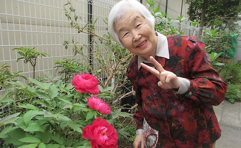 ボタンのお花が咲きました