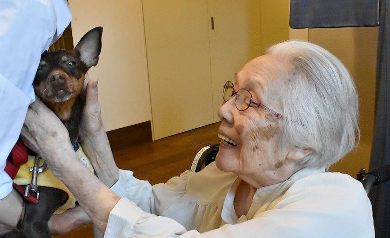 犬とのふれあい～感動の再会～			