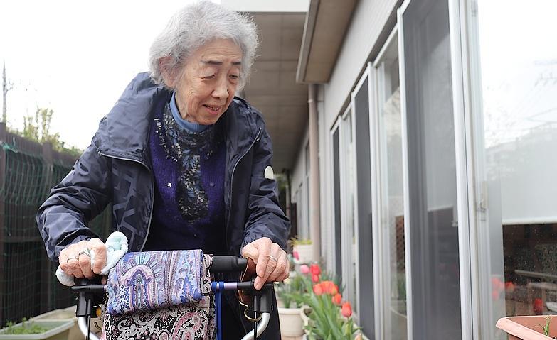 チューリップが咲きました
