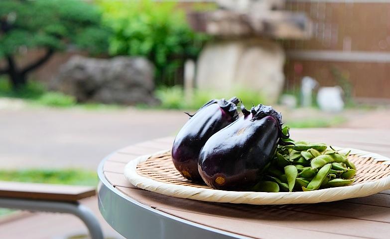ホームの畑で収穫～新鮮な枝豆とナス～