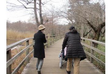 石神井公園をご家族様と散策画像2