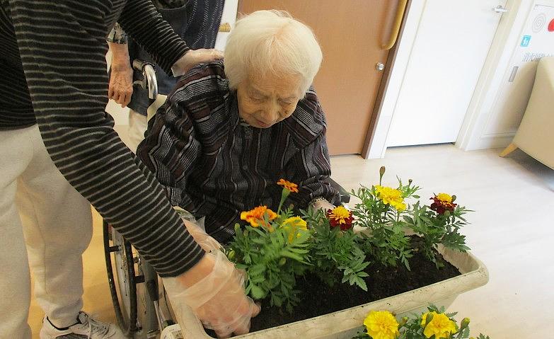 プランターで楽しむ植え替えの時間