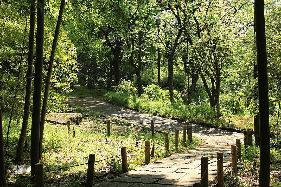 岡本公園