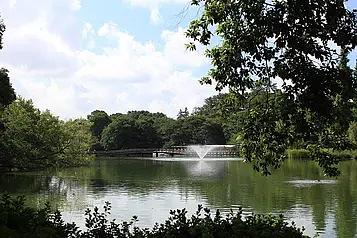 井の頭恩賜公園