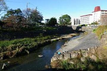 山崎川親水公園