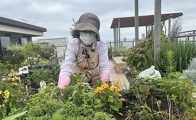 屋上庭園を気にかけてくださり、大切にしてくださっています