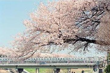 利根運河