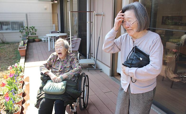 チューリップが咲きました！