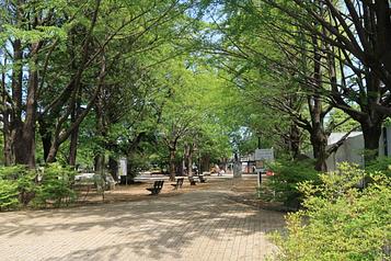 板橋区立平和公園