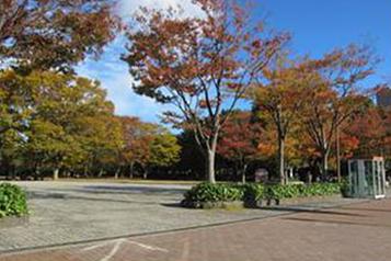 中央公園