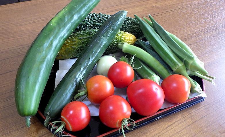 夏野菜どっさり！