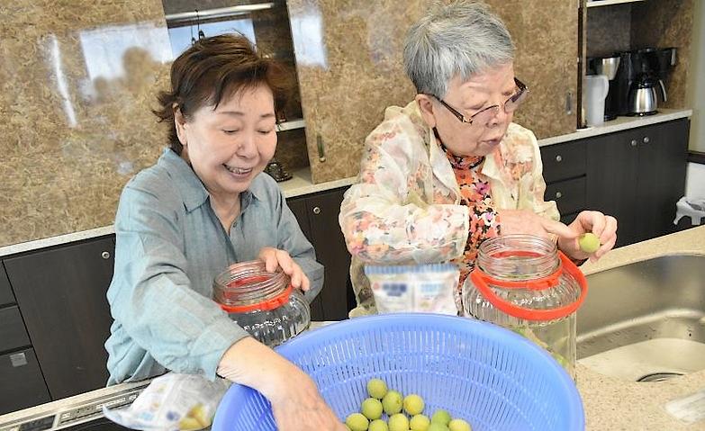 完成が待ち遠しい梅シロップづくり