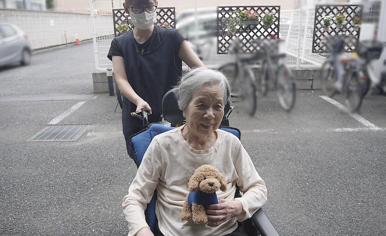 梅雨時期のお散歩