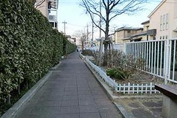 戸田用水遊歩道