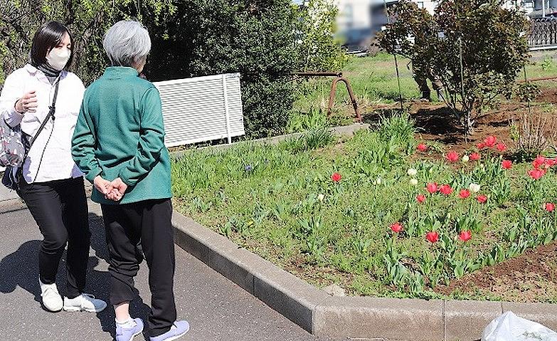 「どっちがきれい？」			