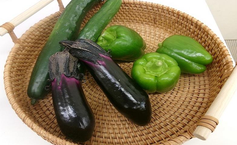 テラスで実った野菜の恵み