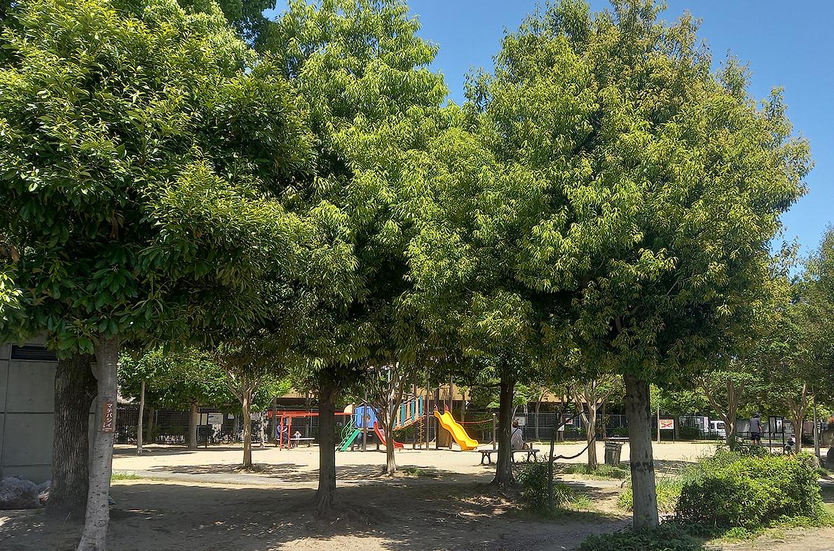 紫町公園