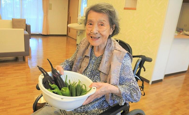 夏野菜、いざ収穫へ！